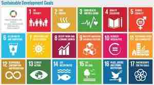 UN SDG