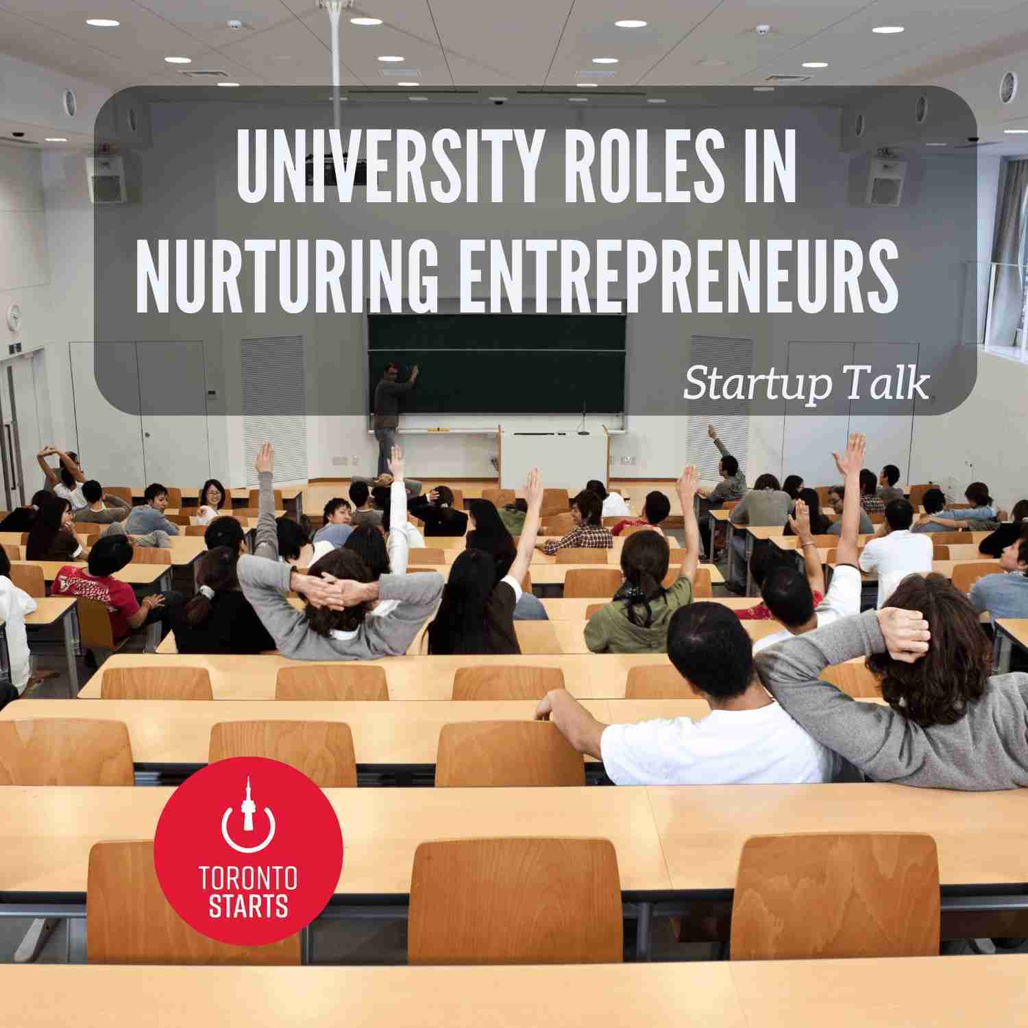 University Roles in Nurturing Entrepreneurs