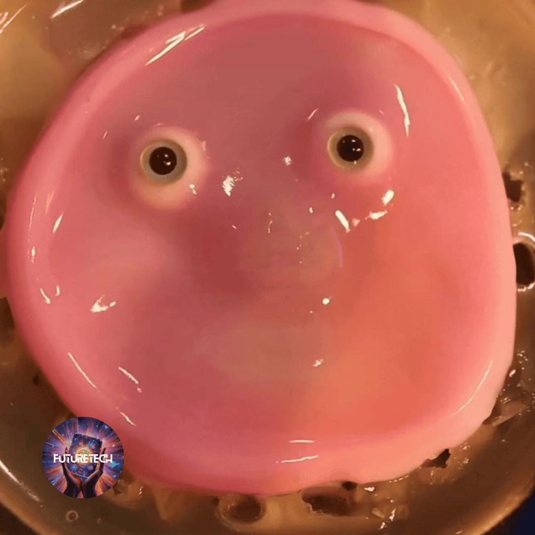 Robots with Living Skin